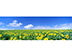 FinePix AV200 : Con Modo Motion Panorama