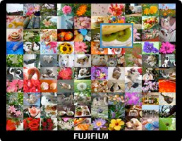 FinePix F550EXR : Vista Digital en Pantalla (Micro Thumbnail View)