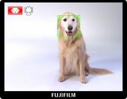 Finepix F550EXR : Detección de Perros y Gatos