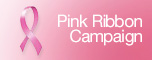 Campa&ntilde;as de list&oacute;n rosa