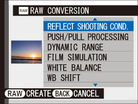 Fujifilm X10 : Convertidor RAW Integrado en la Cámara