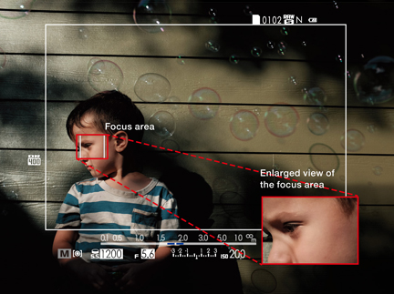 FUJIFILM X100T : Visualización ampliada de la zona de enfoque
