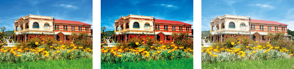 (Left) PROVIA (24mm*) (Center) Velvia (Right) ASTIA